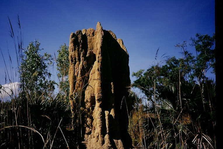 0163KM 73854 03APR03 Australien Litchfield National Park Northern Territories.jpg